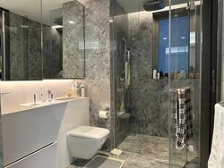 Cairnhill Nine (D9), Apartment #473415821